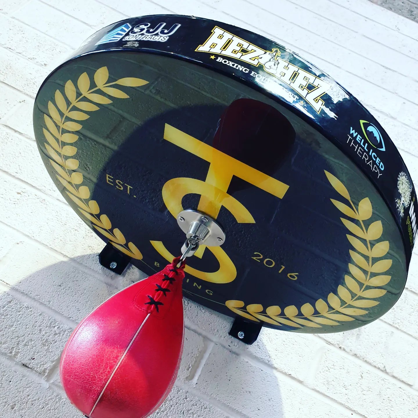 Custom Speedbag Set