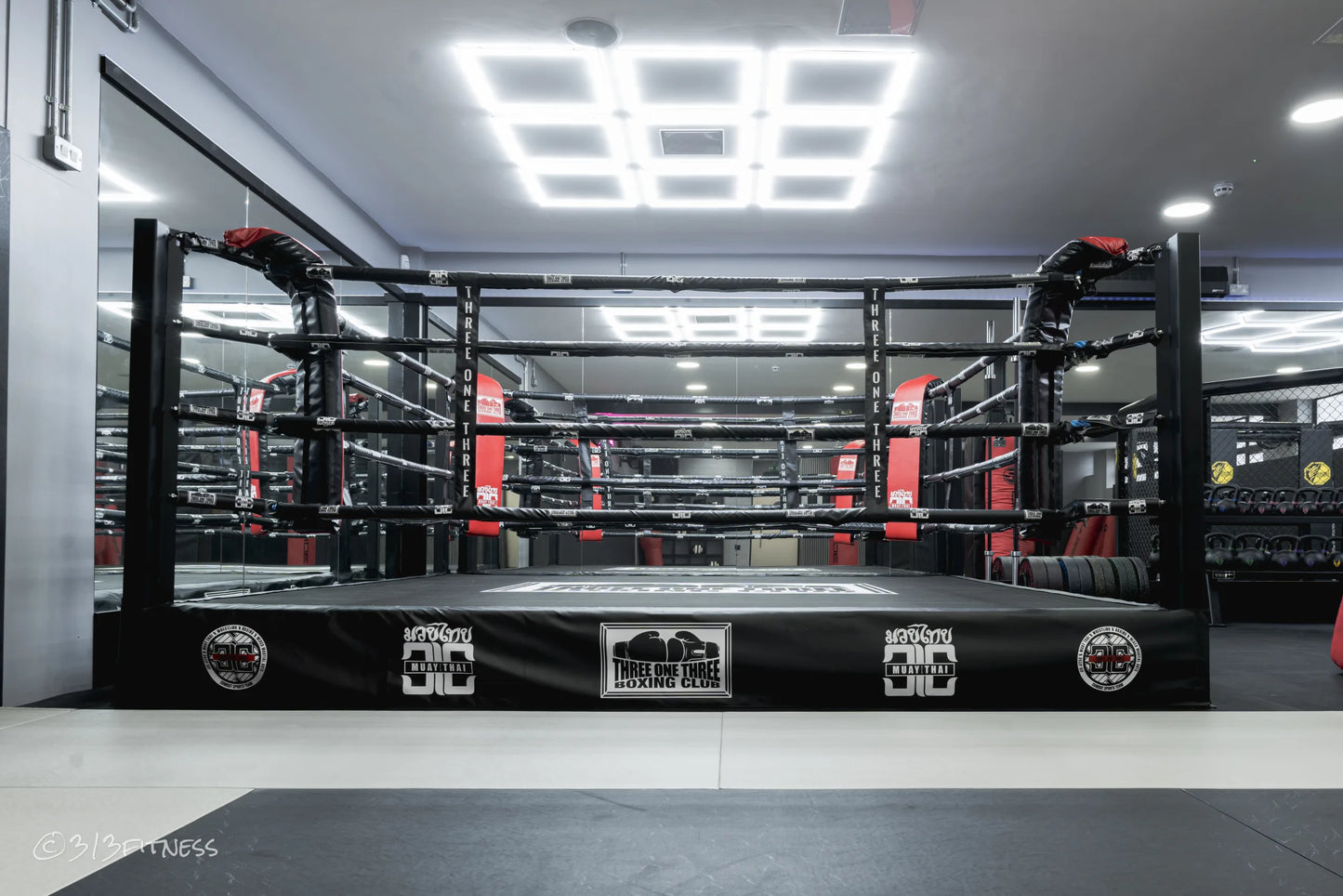 Custom Training Boxing Ring