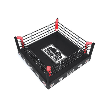 Custom Training Boxing Ring