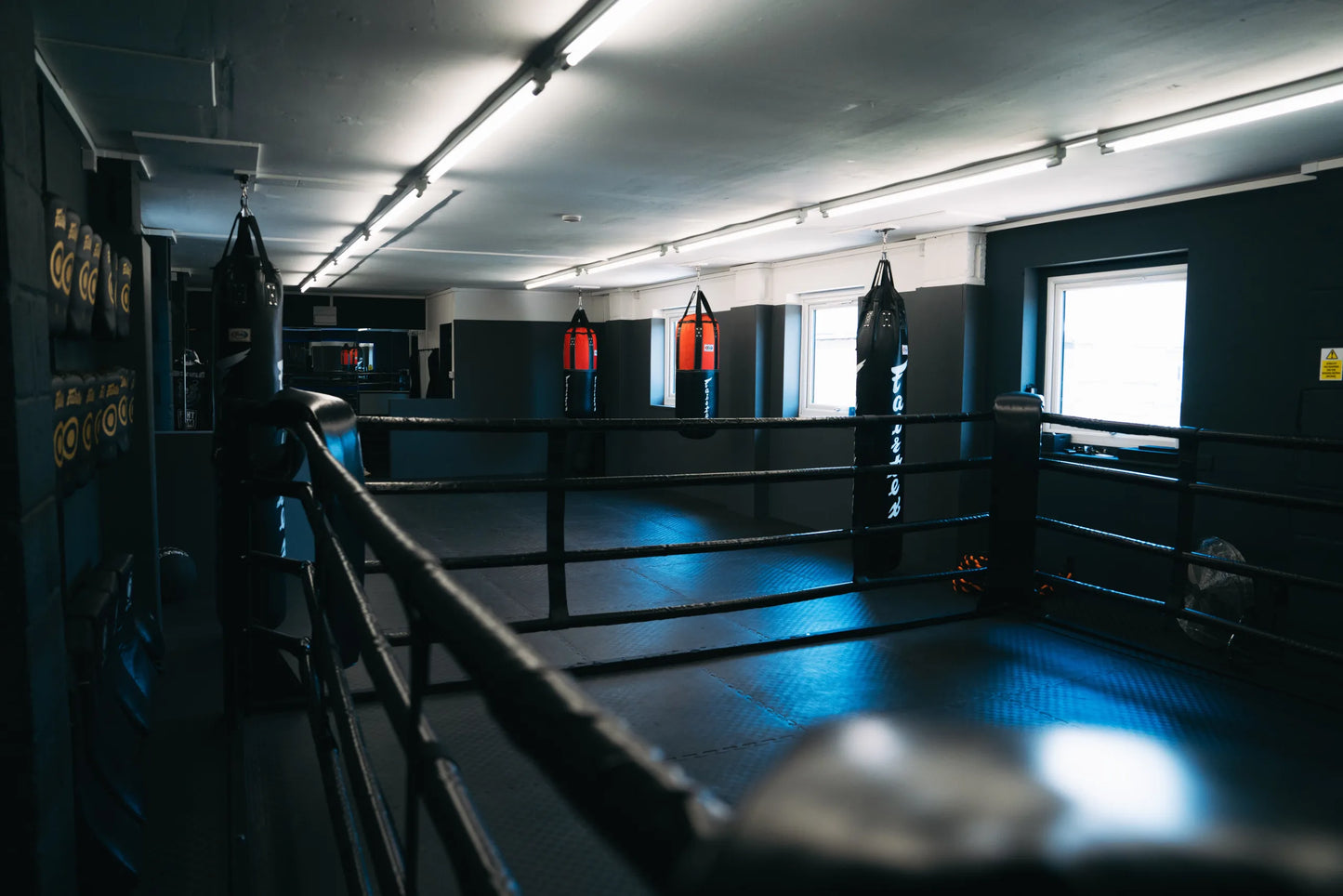 Professional Floor Mounted Ring