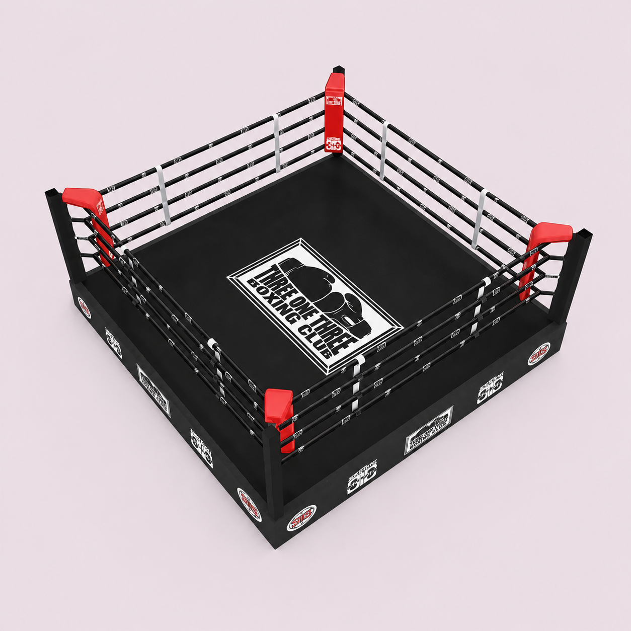 Custom Training Boxing Ring