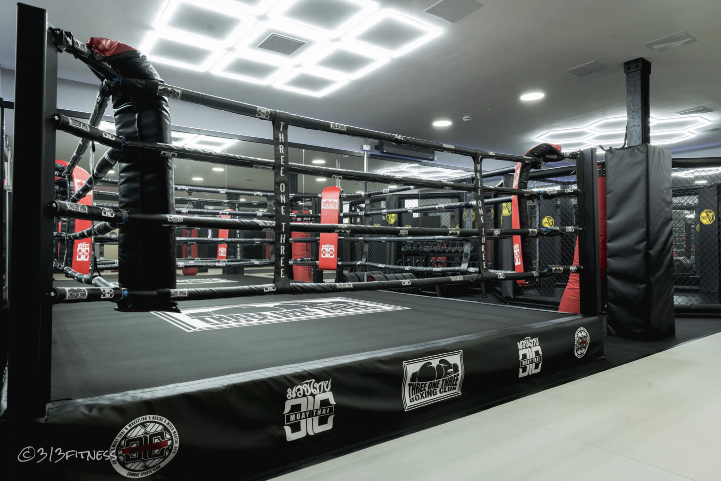 Custom Training Boxing Ring